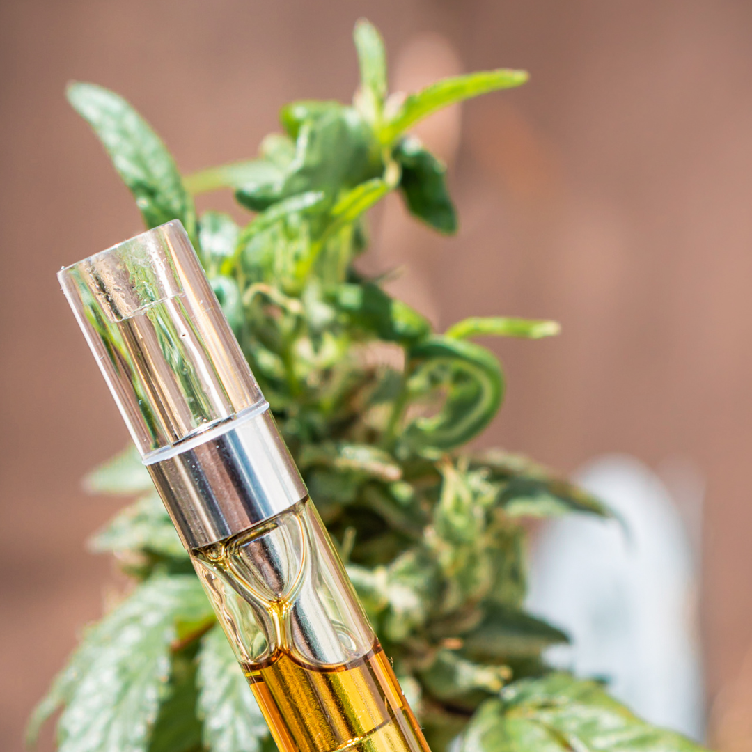 Produits de vapotage disponibles le 26 novembre