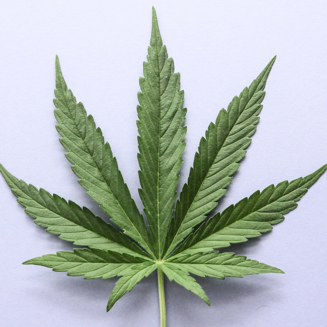 Reclassification du cannabis Reclassification du cannabis