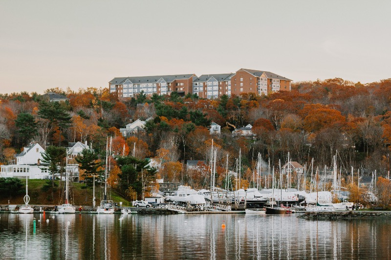 Nova Scotia cracks down on the illegal cannabis market