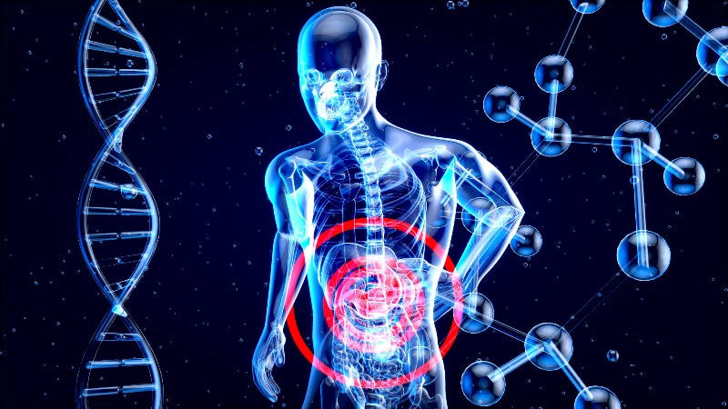 Le CBD et CBG réduiraient la stéatose hépatique
