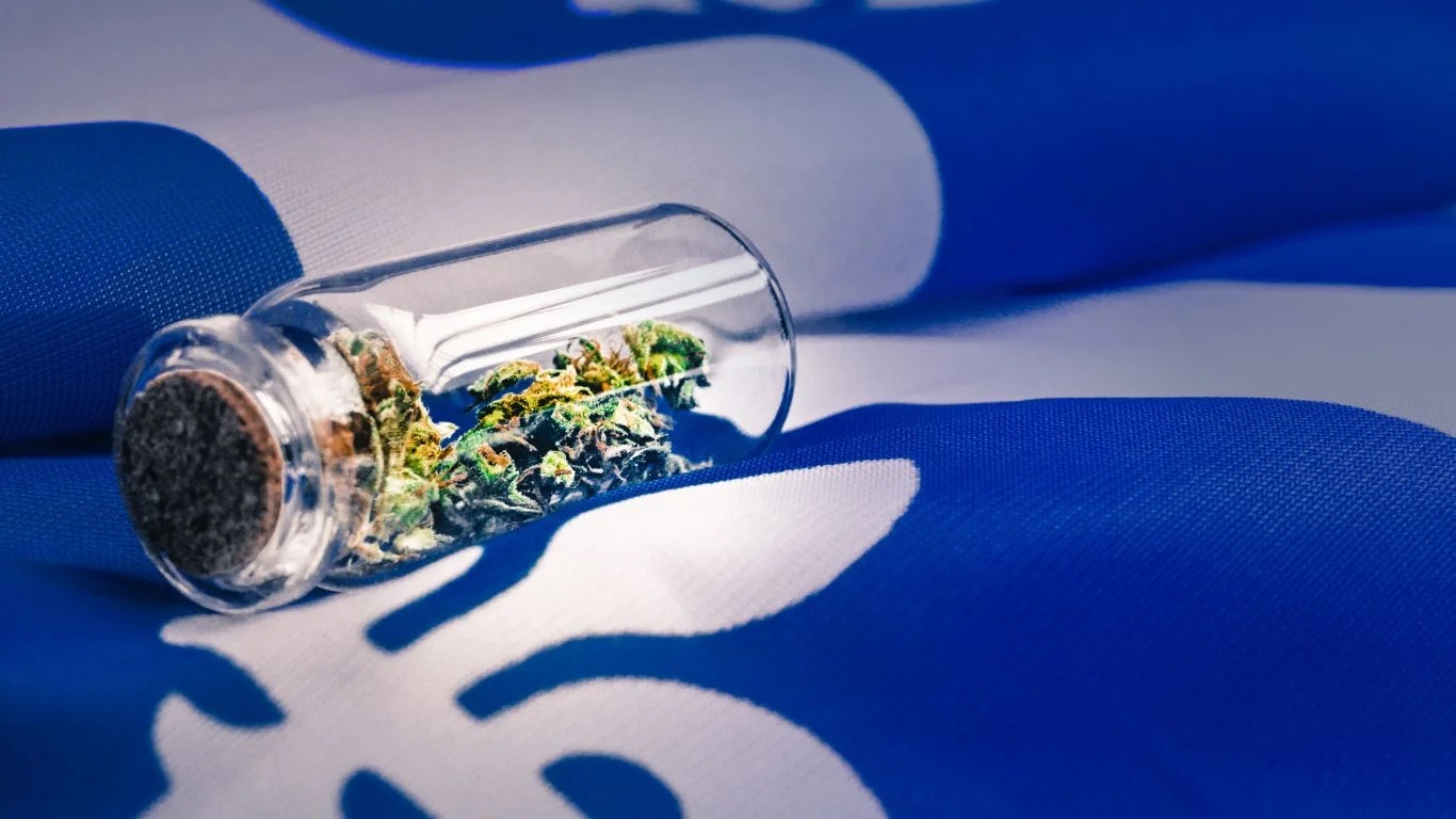 L’industrie québécoise du cannabis et du chanvre : un aperçu économique détaillé révèle la croissance, les obstacles et le potentiel