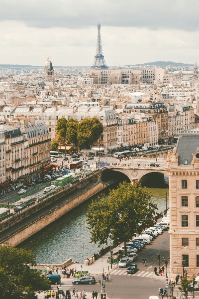 Possible rollout of medical cannabis in France