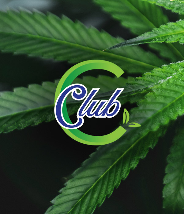 Association Québécoise de l'Industrie du Cannabis