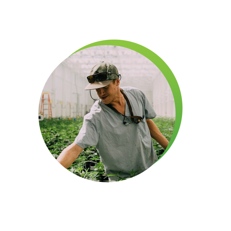 Association Québécoise de l'Industrie du Cannabis